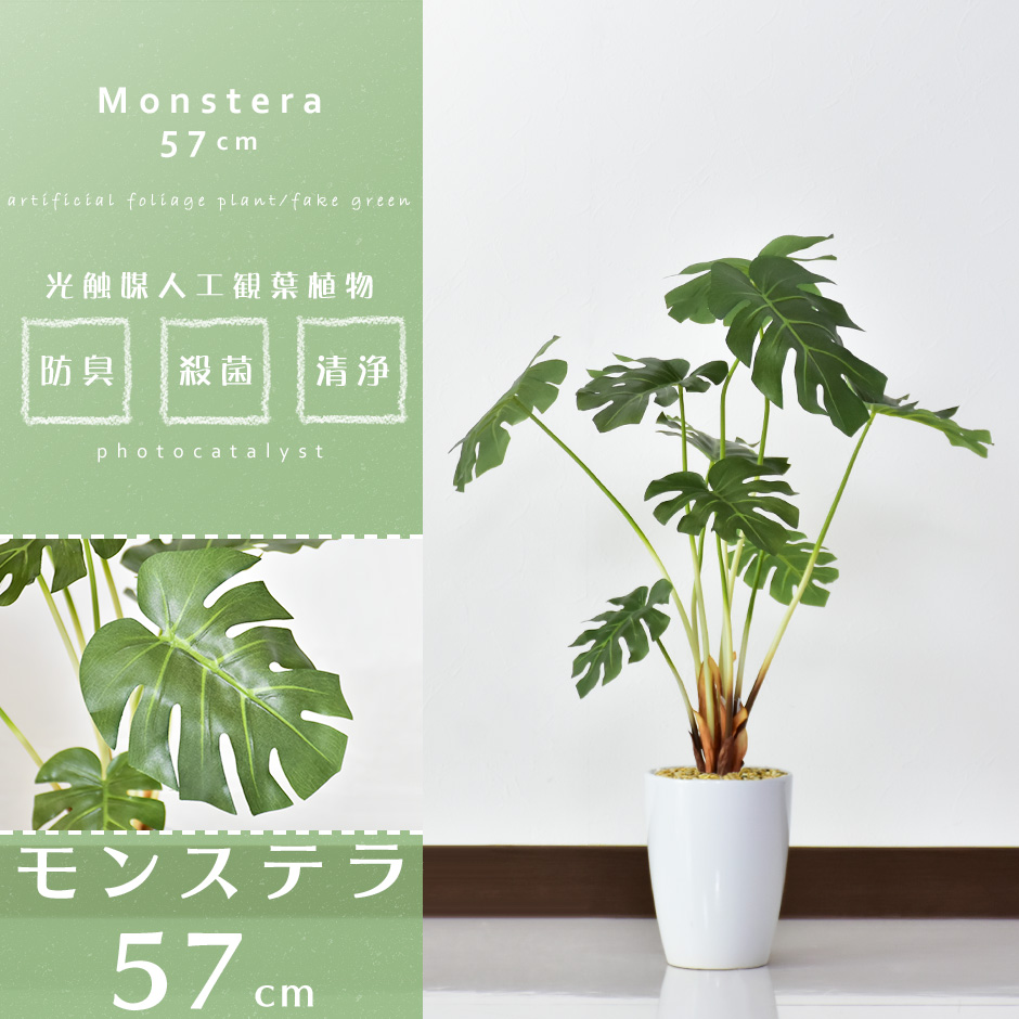 人工観葉植物 モンステラ – remembrance-doris